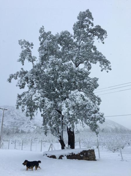Posada Del Jinete San José de Maipo 外观 照片
